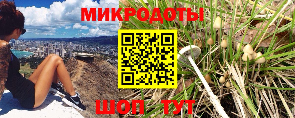 Галлюциногенные грибы MAGIC MUSHROOMS Дмитров